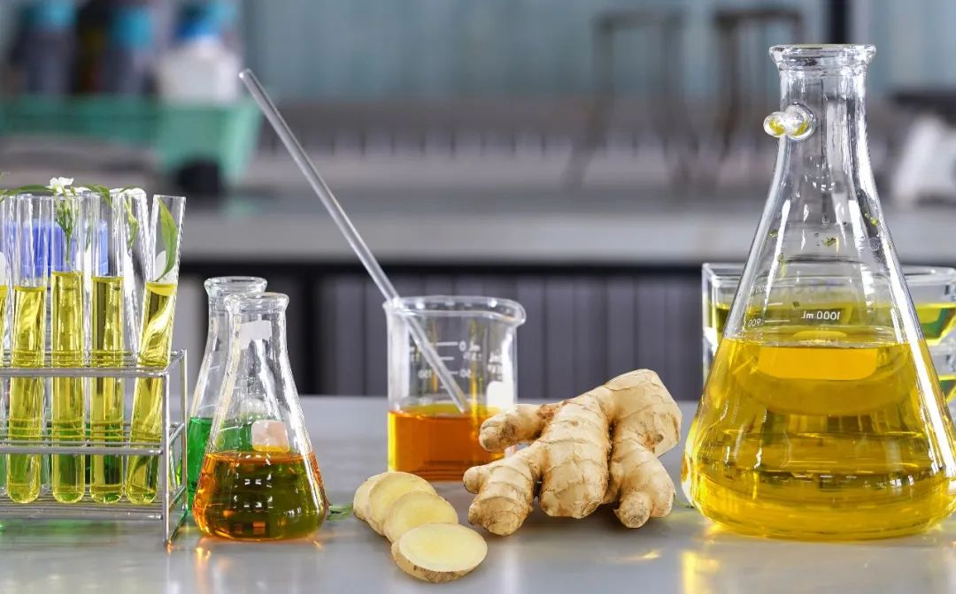 棟方股份榮獲2021年廣東省科技進(jìn)步獎(jiǎng)，科研創(chuàng)新實(shí)力再獲認(rèn)可！